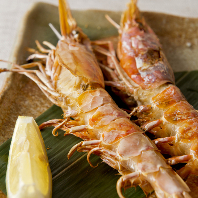 海鮮酒蔵 二三一（フミイチ） - さっぽろ（札幌市営）（魚介料理・海鮮料理）の写真（食べログが提供するog:image）