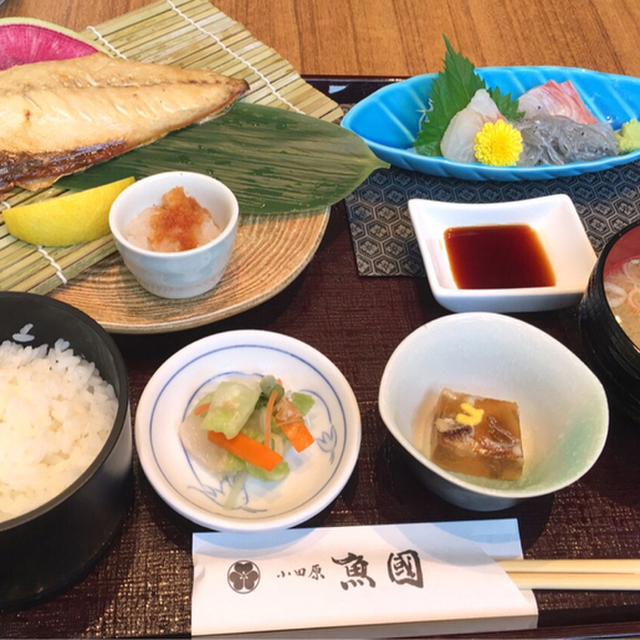 ランチメニュー 閉店 小田原 魚國 新御茶ノ水 魚介料理 海鮮料理 食べログ ランチメニュー 閉店 小田原 魚國 新御茶ノ水 魚介料理 海鮮料理 食べログ