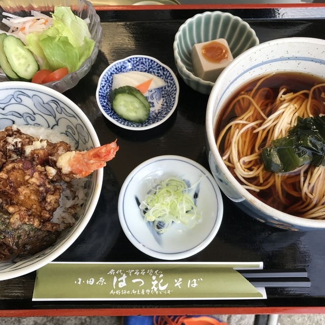 小田原はつ花 箱根板橋 そば 食べログ