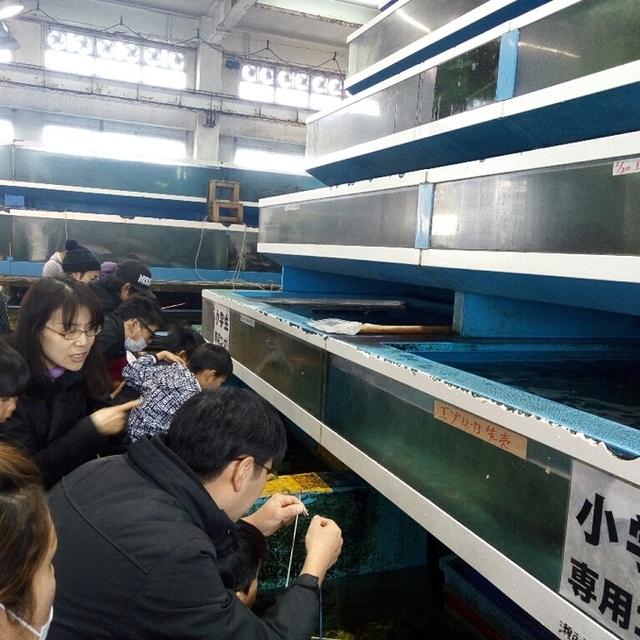 大昌 ダイショウ 北巽 その他 食べログ