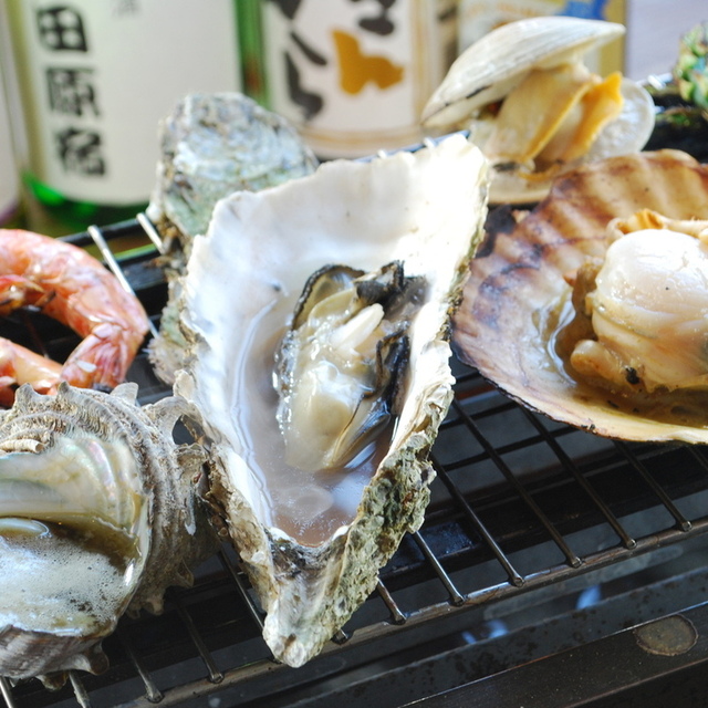 小田原さかなセンター - 早川（魚介料理・海鮮料理）の写真（食べログが提供するog:image）