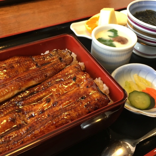 おすすめ 店 和食 南 富士岡 岳