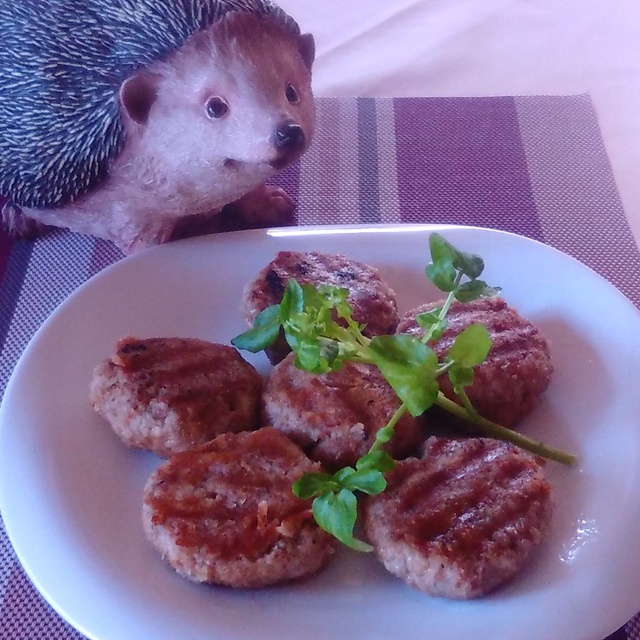 口コミ一覧 ガルテンハウス 赤いはりねずみ Gartenhaus 海岸寺 洋食 食べログ