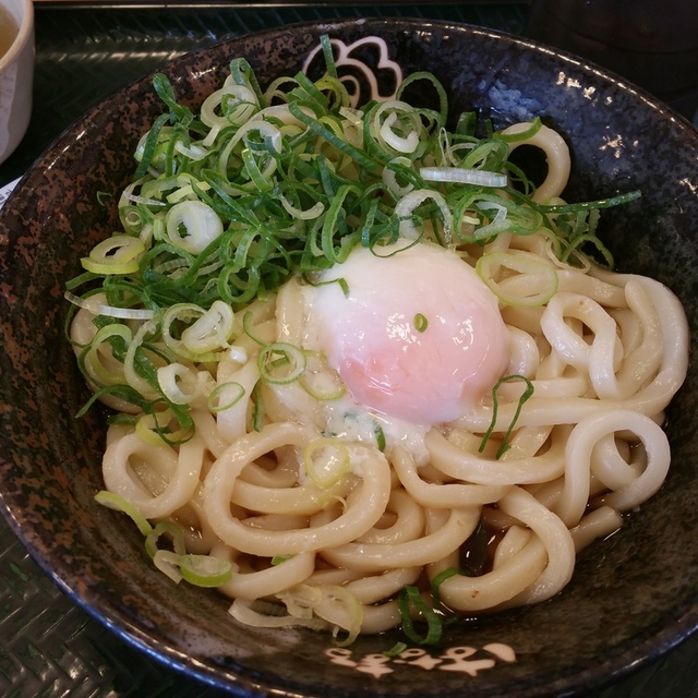 閉店 はなまるうどん 静岡聖一色店 県総合運動場 うどん 食べログ 閉店 はなまるうどん 静岡聖一色店 県総合運動場 うどん 食べログ