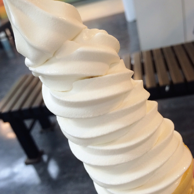デューエ ジェラータ Due Gera Ta 五稜郭 アイスクリーム 食べログ