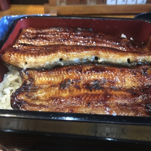 閉店 みはまうなぎ店 高崎 ｊｒ うなぎ 食べログ