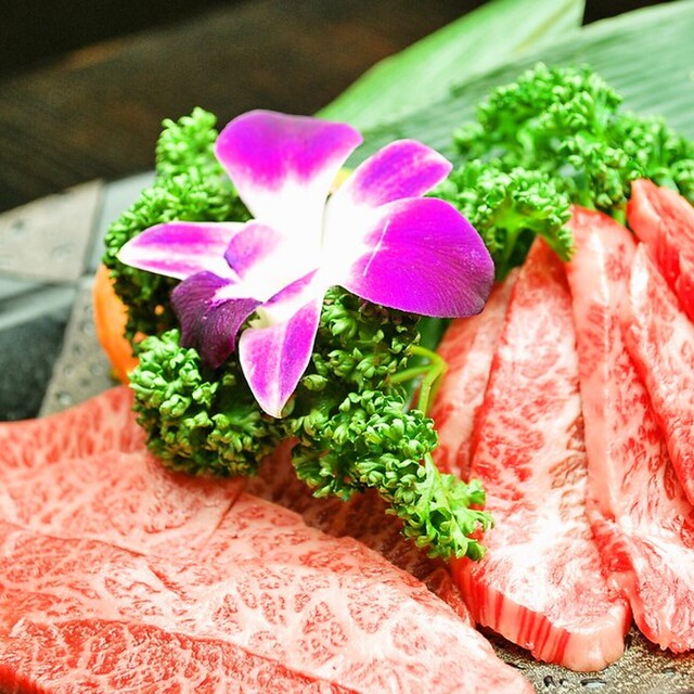炭火焼肉燦然 溝の口店 スミビヤキニクサンゼン 溝の口 焼肉 ネット予約可 食べログ 炭火焼肉燦然 溝の口店 スミビヤキニクサンゼン 溝の口 焼肉 ネット予約可 食べログ