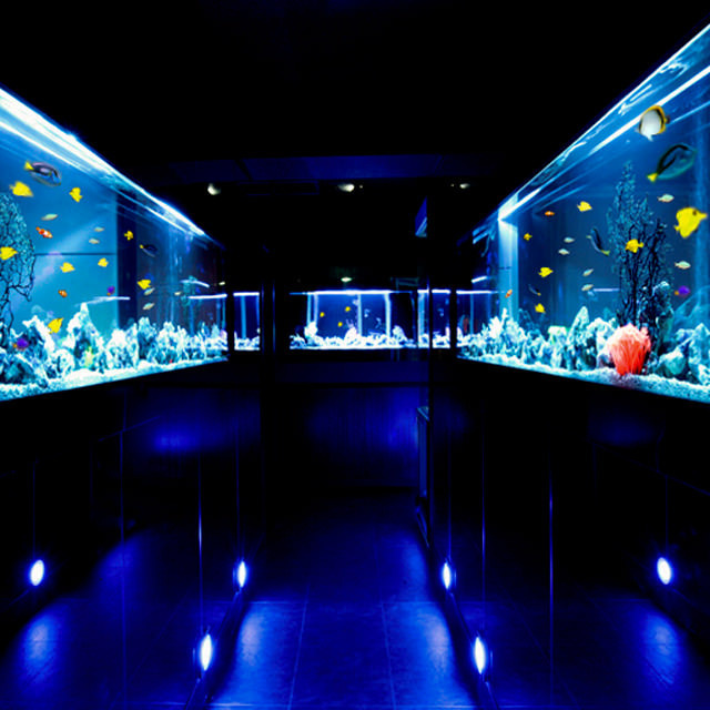 口コミ一覧 Aquarium個室 青の洞窟 難波店 大阪難波 居酒屋 食べログ