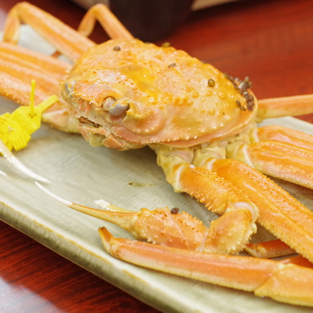 ちひろ 三国港 旅館 オーベルジュ その他 食べログ