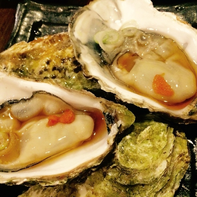 閉店 居酒屋まさと 反町 居酒屋 食べログ 閉店 居酒屋まさと 反町 居酒屋 食べログ