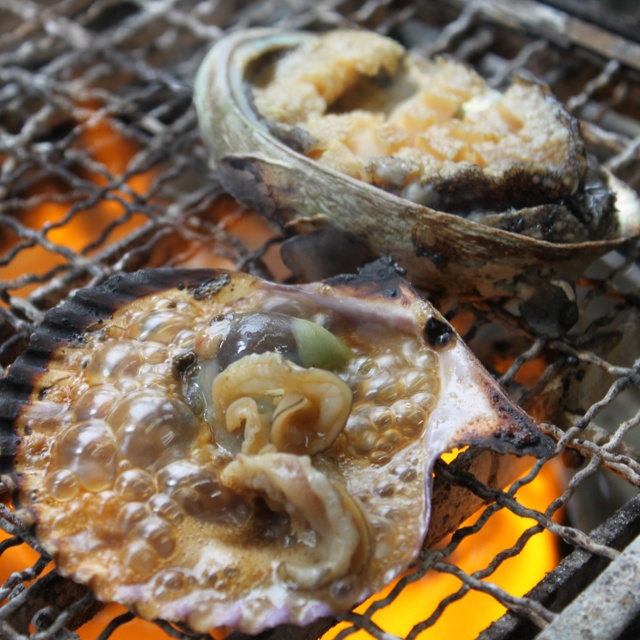 松本さざえ店 - 鳥羽（魚介料理・海鮮料理）の写真（食べログが提供するog:image）