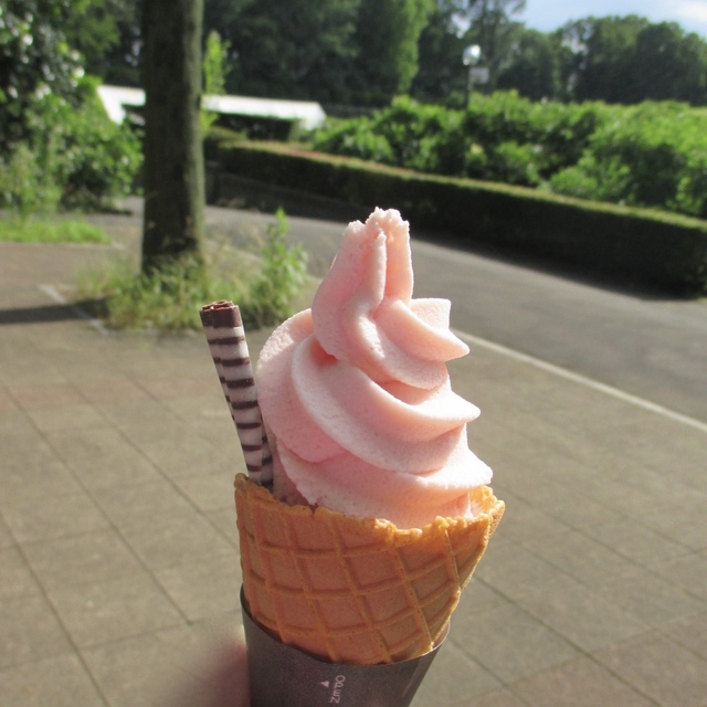 パークスローズガーデン 都立神代植物公園 都立神代植物公園ばら売店 調布 アイスクリーム 食べログ パークスローズガーデン 都立神代植物公園 都立神代植物公園ばら売店 調布 アイスクリーム 食べログ