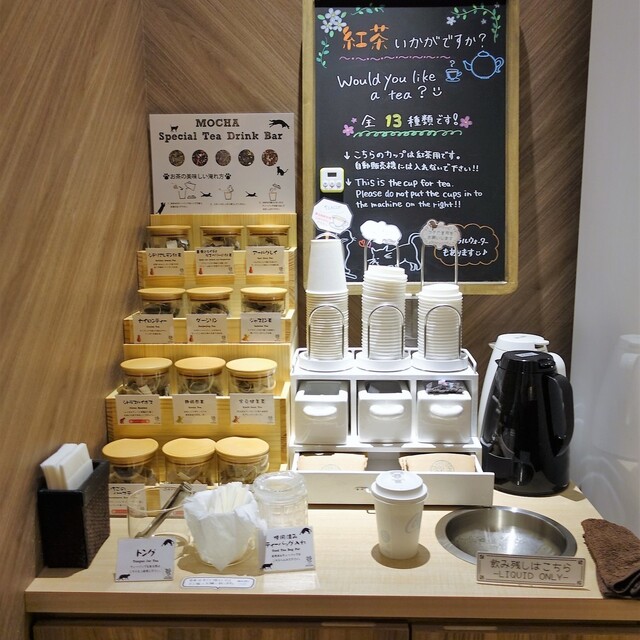 猫カフェ Mocha 大阪心斎橋店 モカ 心斎橋 その他 食べログ 猫カフェ Mocha 大阪心斎橋店 モカ 心斎橋 その他 食べログ