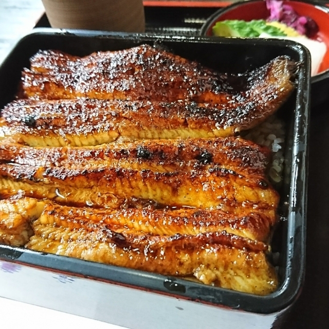 繁乃家 沼津 うなぎ 食べログ 繁乃家 沼津 うなぎ 食べログ