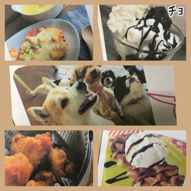 保護犬カフェ 西八王子店 西八王子/その他 [食べログ]