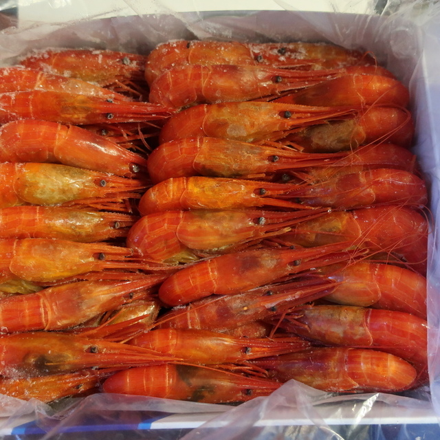 海紋 カイモン 別海町その他 その他 食べログ