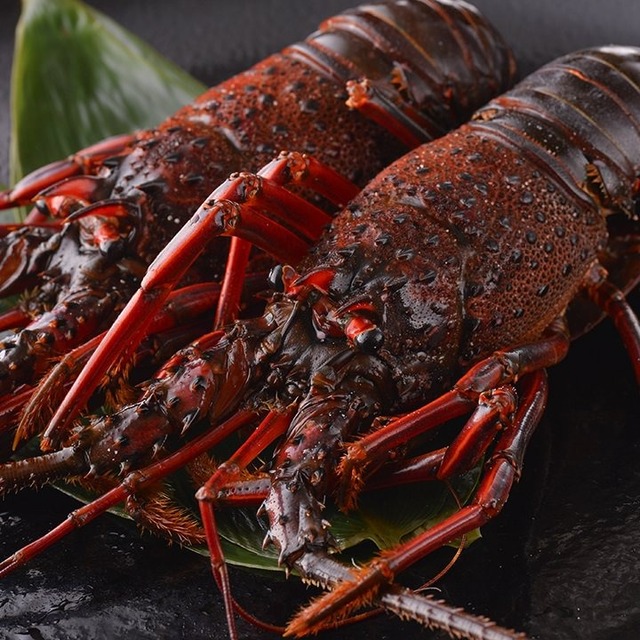 ドリンクメニュー GrillPan Zen （グリル パン ゼン） 京急川崎/鉄板焼き [食べログ]