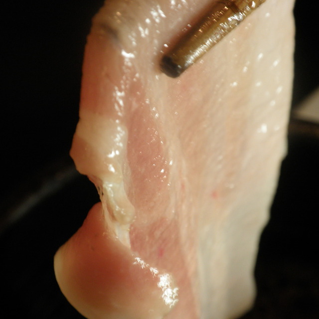 三重人 Kitte名古屋店 ミエジン 名古屋 魚介料理 海鮮料理 ネット予約可 食べログ
