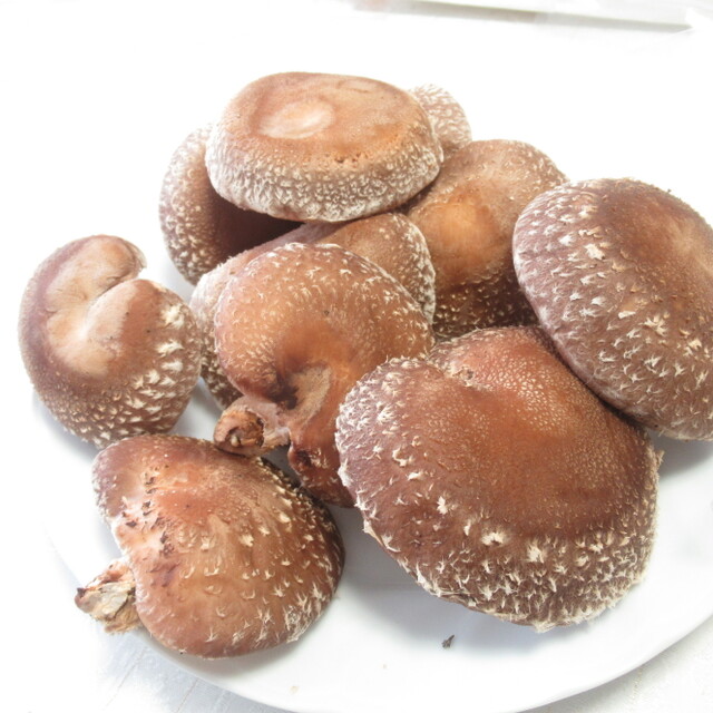 花ときのこ細貝 直売所 澄川 その他 食べログ