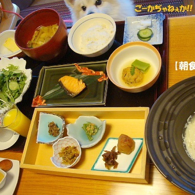 鬼怒川 湯わん 東武ワールドスクウェア 旅館 食べログ 鬼怒川 湯わん 東武ワールドスクウェア 旅館 食べログ