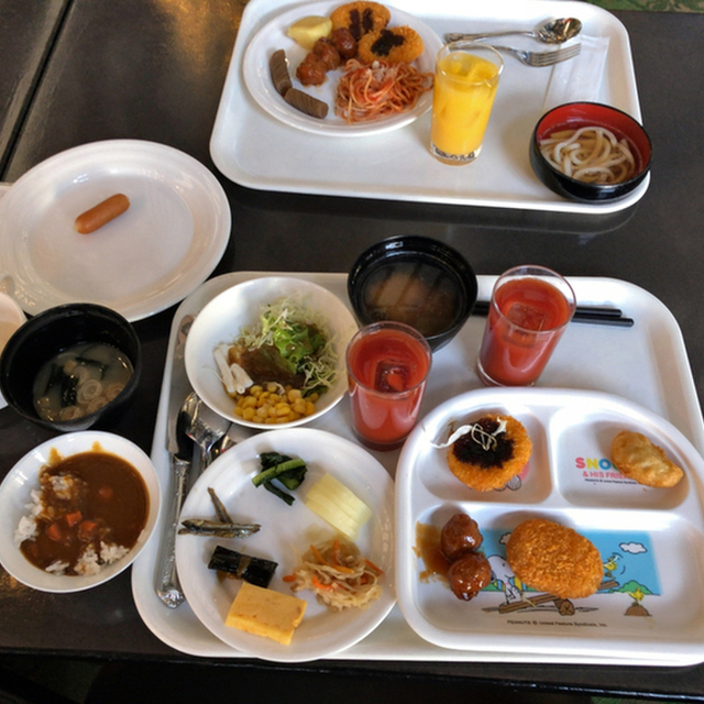 ホテルグリーンプラザ 上越 上越国際スキー場前 旅館 食べログ ホテルグリーンプラザ 上越 上越国際スキー場前 旅館 食べログ