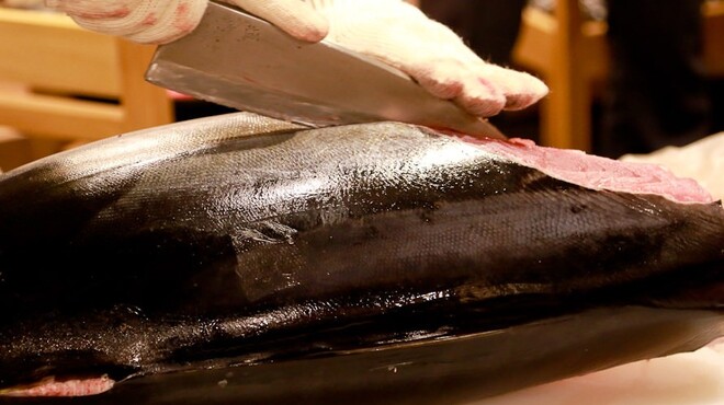 鮪大学水産研究所 - メイン写真: