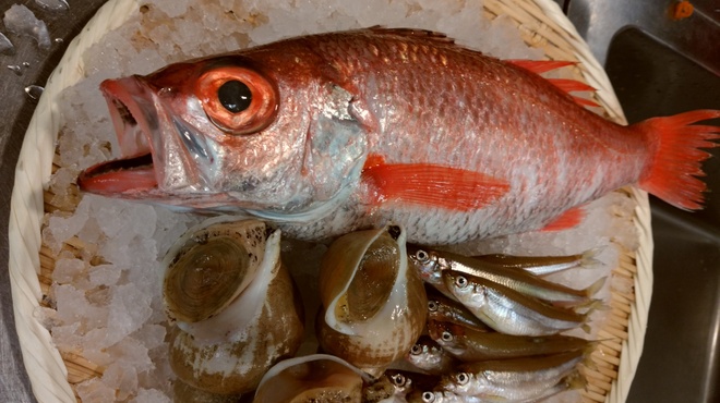 松田屋 福井 魚介料理 海鮮料理 食べログ 松田屋 福井 魚介料理 海鮮料理 食べログ