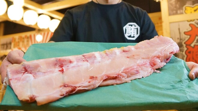 鮪大学水産研究所 - メイン写真: