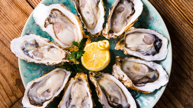 メリケンサカナ - メイン写真: