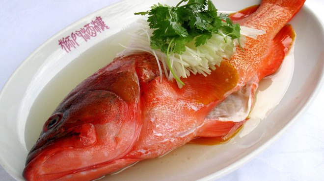 獅門酒楼 - メイン写真: