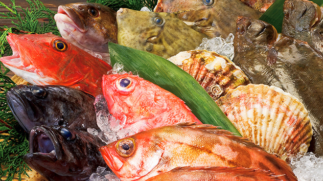 産直鮮魚と日本酒 Uo魚 - メイン写真: