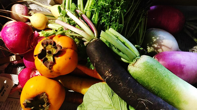 和フレンチ カドヤ 本厚木 フレンチ ネット予約可 食べログ