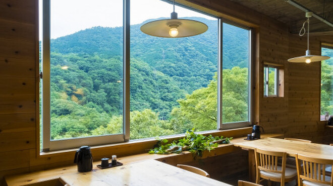 山薬 - メイン写真: