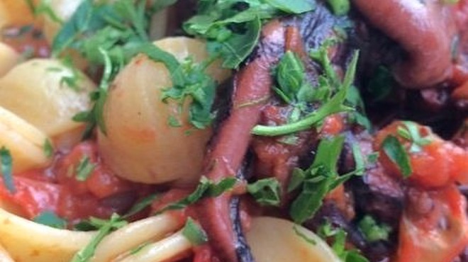 ナポリ、アマルフィ料理 Ti picchio 中目黒 - 料理写真:イイダコの溺れ煮のオレキエッテ