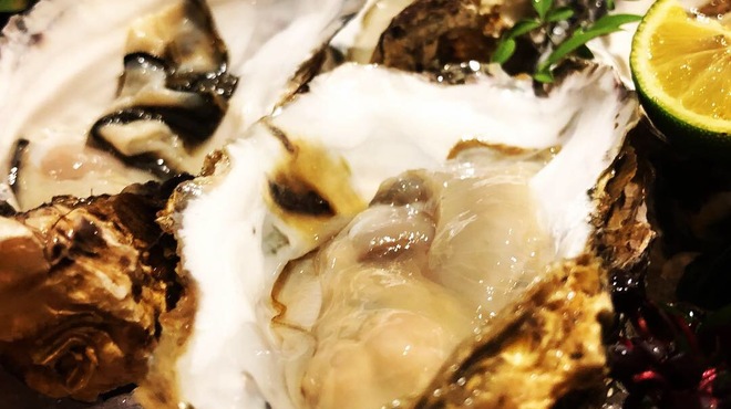 旨肴旨酒 おさかな家 - メイン写真: