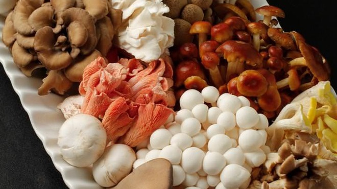 SUMI-BIO - メイン写真: