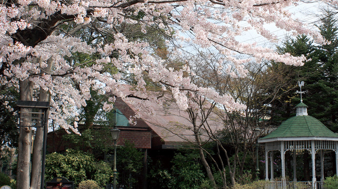 現代仏蘭西料理 朔詩舎 - 外観写真:4月上旬　敷島公園の桜が満開です。
