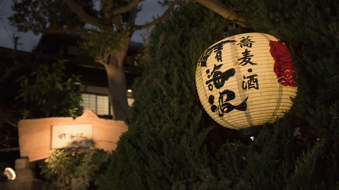 蕎麦・酒 青海波 - メイン写真: