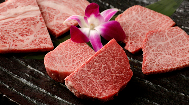 鉢山 ハチヤマ 渋谷 焼肉 ネット予約可 食べログ