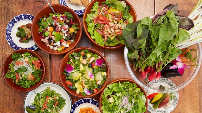 HATONOMORI GARDEN - メイン写真: