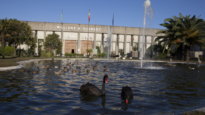 しぇりークラブ - ドリンク写真: