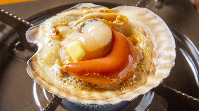 浜っ子 - メイン写真: