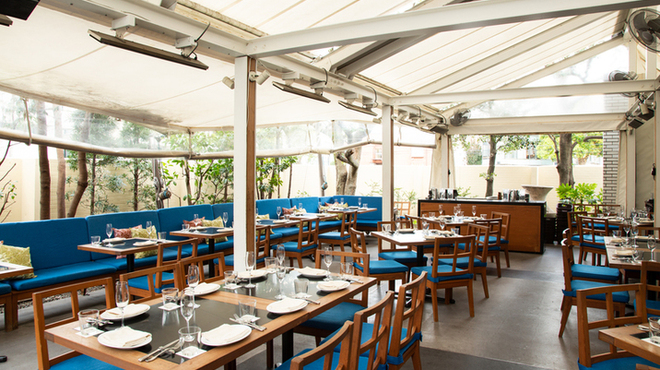 CICADA - メイン写真: