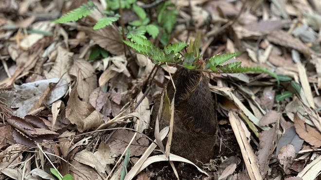 STAND BY FARM - メイン写真: