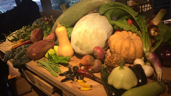 STAND BY FARM - メイン写真: