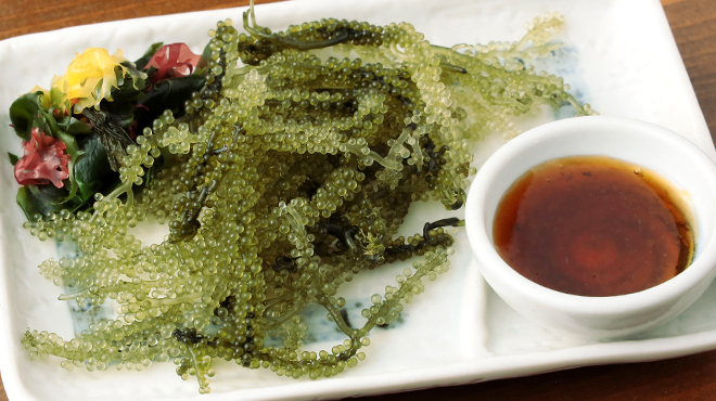 パイパティローマ - メイン写真: