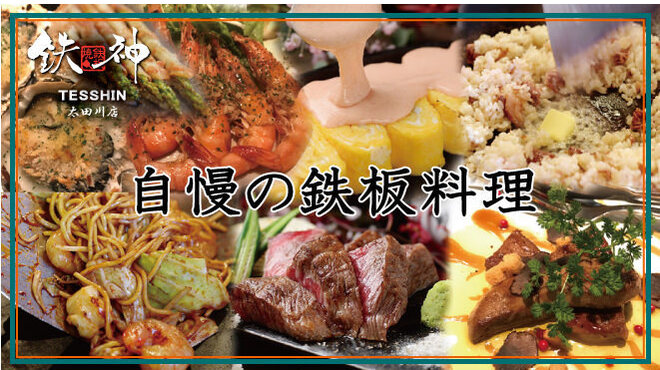 Teppanyaki Izakaya Tesshin - メイン写真: