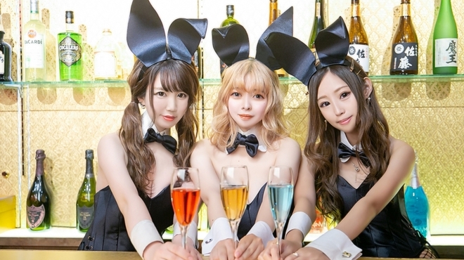 バニーラウンジ Ark Luna 玉宮 名鉄岐阜 バー 食べログ