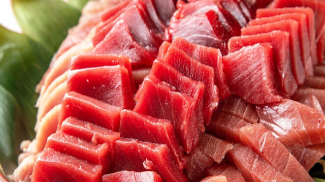 個室 魚 肉バル Maguro Dining 180品3h食べ飲み放題 新宿本店 旧店名 個室居酒屋 食べ飲み放題 焼き鳥センター かんぱい屋 新宿西口 居酒屋 ネット予約可 食べログ 個室 魚 肉バル Maguro Dining 180品3h食べ飲み放題 新宿本店 旧店名 個室居酒屋 食べ飲み放題 焼き鳥センター かんぱい屋 新宿西口 居酒屋 ネット予約可 食べログ