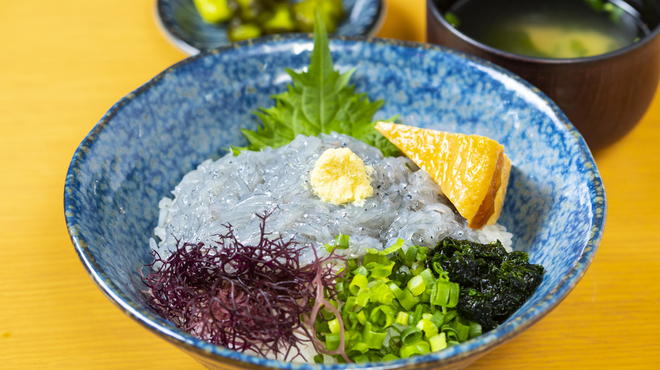 鎌倉 仕立屋 小町通り 鎌倉 居酒屋 食べログ